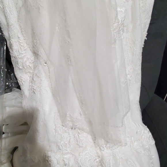 Ivory Veil - Picture 8 of 8